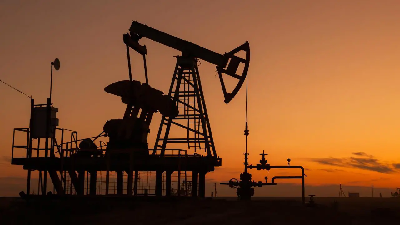 WHY CEVHER OIL 